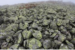 Photo Textures of Mixed Rocks